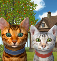 Cat Simulator