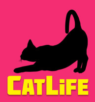 Cat life