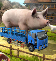 Driver Master Simulator 