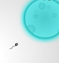 Tadpole