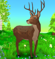 Deer Simulation